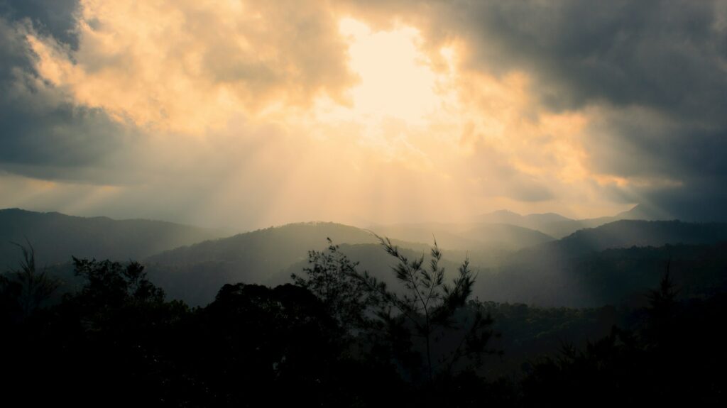 Top 10 Best Places to visit in Kerala 4 places to see around kochi