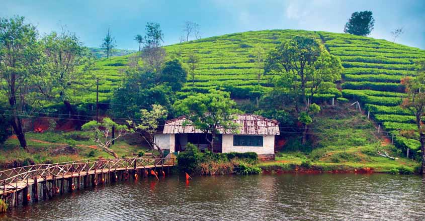 Top 10 Best Places to visit in Kerala 5 kochi munnar